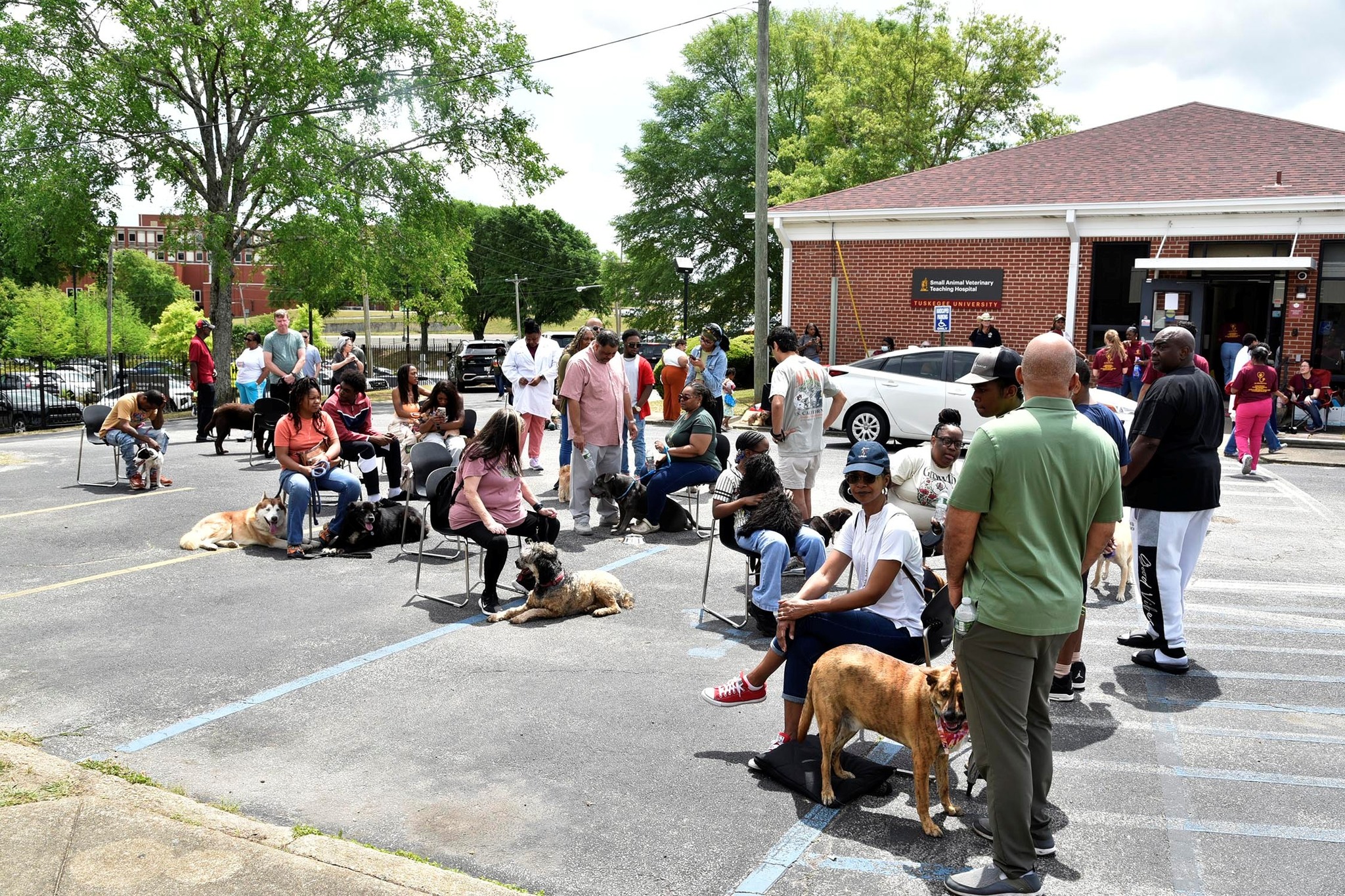 Small_Animal_Health_Fair