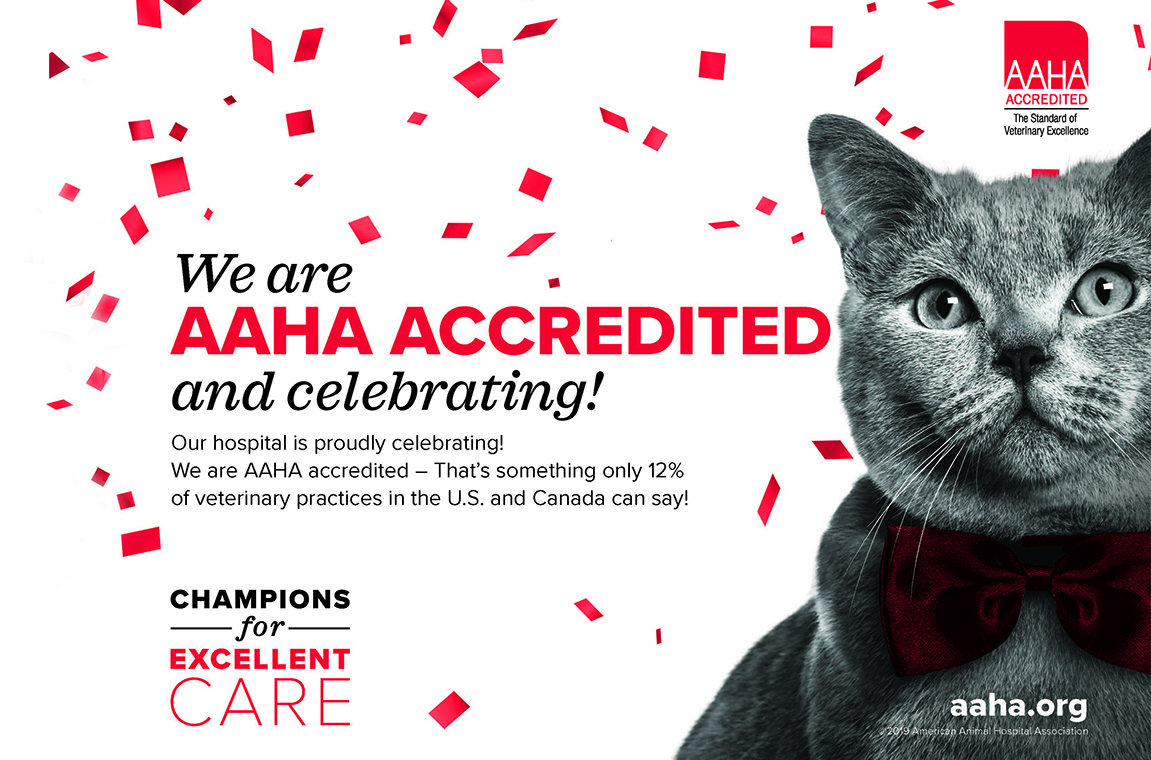 Graphic announcing AAHA accreditation