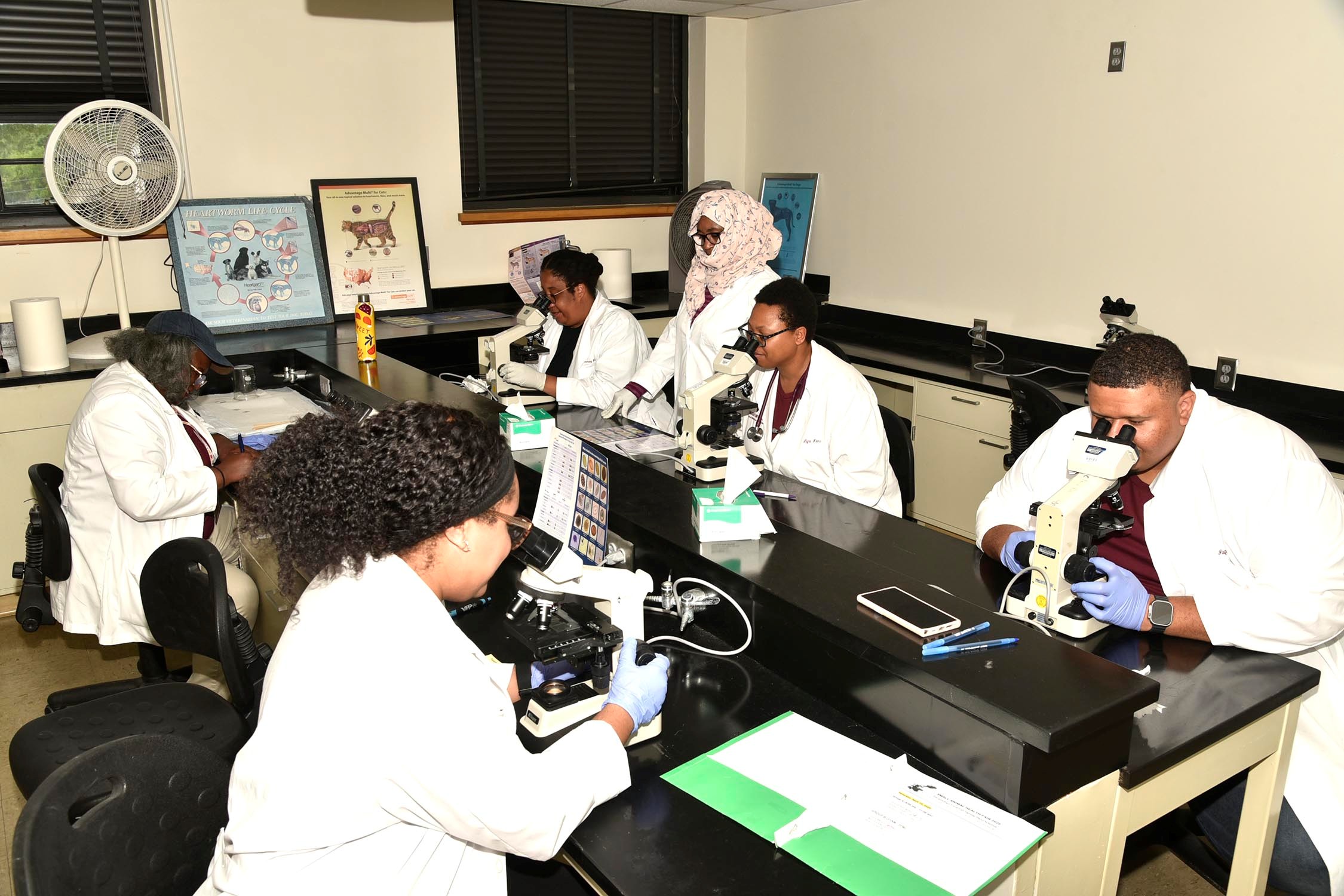 Small Animal Health Fair