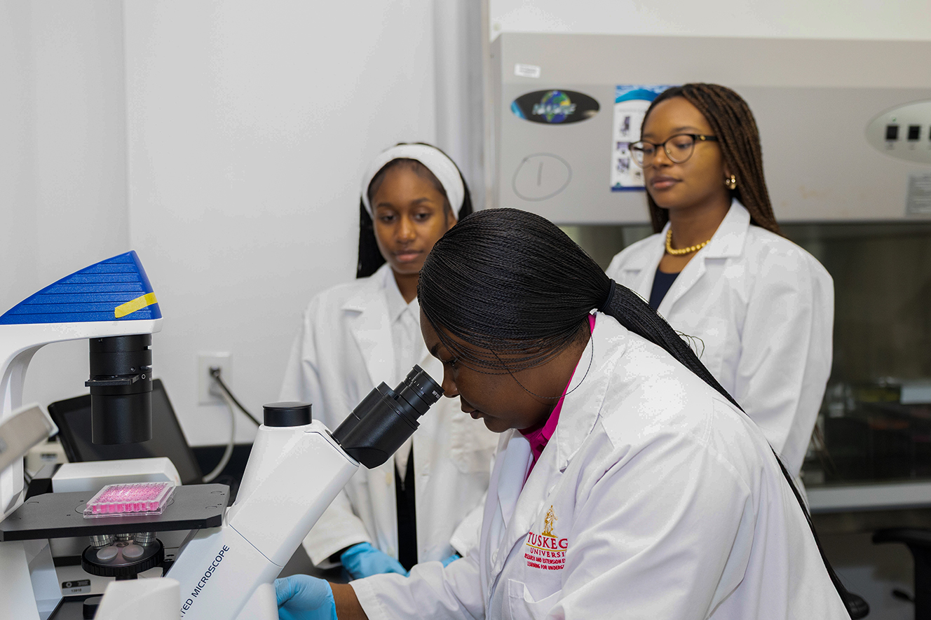 Researchers perform experiment in lab